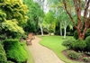 Organic Landscape Care Plan